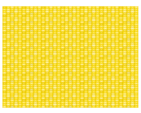 Seamless corn pattern and texture in flat