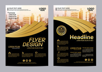 Gold brochure flyer annual report leaflet mock up template layout design
