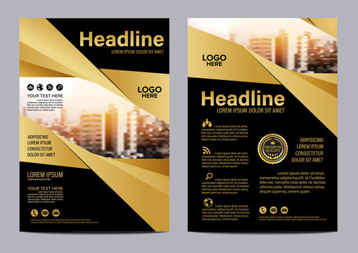 Gold brochure flyer annual report leaflet mock up template layout design