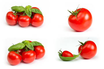 Tomaten Collage