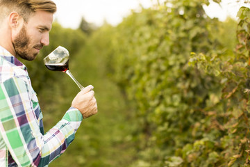 Fototapeta premium Winemaker in vineyard