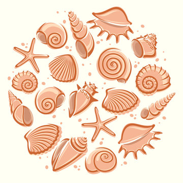 Seashells background. Vector