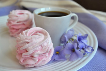 Obraz na płótnie Canvas Pale pink zephyr cakes and petite cup of coffee
