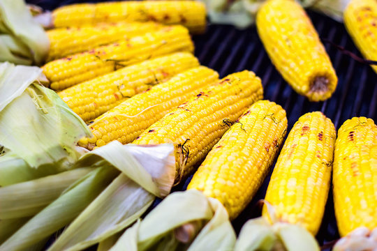Closeup delicious BBQ grilled Mexican corn on the cob, vegetable food background. Barbecued roasted on the hot stove fresh tasty sweet corn. Ready to Eat