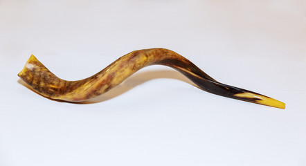 Image result for shofar images copyright free