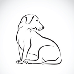 Vector of a dog labrador on white background