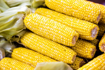 Closeup delicious BBQ grilled Mexican corn on the cob, vegetable food background. Barbecued roasted on the hot stove fresh tasty sweet corn. Ready to Eat