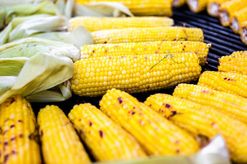 Closeup delicious BBQ grilled Mexican corn on the cob, vegetable food background. Barbecued roasted on the hot stove fresh tasty sweet corn. Ready to Eat