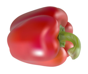 Pepper - An illustration of a red pepper, using a gradient mesh. Gradients have been used.