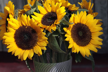 Obraz premium Bouquet of sunflowers in vase close up