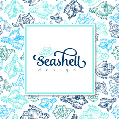 Sketch seashell card template background. Vector illustration for your design