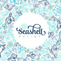 Sketch seashell card template background. Vector illustration for your design