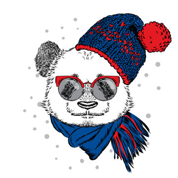 Panda with glasses, hat and scarf. Vector illustration for greeting card, poster, or print on clothes. Christmas and New Year. Winter.