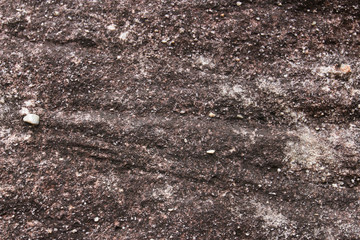 Rough stone texture