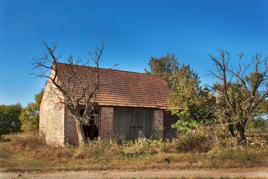 Old barn and tree against blue sky background. Abandoned farm buildings with weathered wall.
