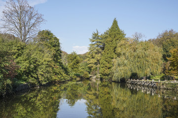 Fototapeta na wymiar reflection of trees on lake in autumn