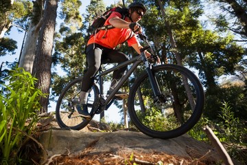 Naklejka na ściany i meble Male mountain biker riding bicycle in the forest