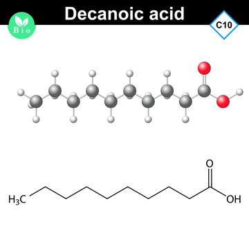 Decanoic acid atomic structure