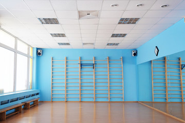 The image of a wall bar in a fitness hall