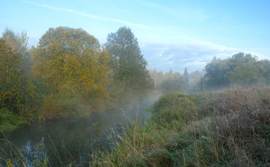 Fototapeta na wymiar Autumn scene.Small forest river Torgosha in Moscow region,Russia