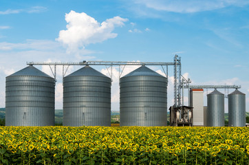 Silos. Warehouse storage of the harvest. Field with sunflowers. © deyana