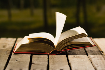 Thick book lying open on wooden surface, pages blowing in wind, beautiful night light setting, magic concept shoot