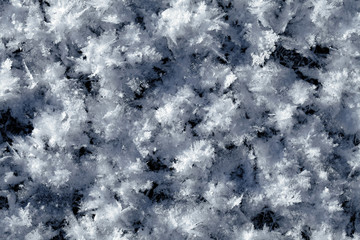Snow crystals on the ground 