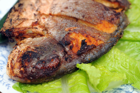 "Butter Fish" Images – Browse 346 Stock Photos, Vectors, and Video