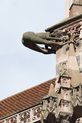 Wasserspeier am Freiburger Münster