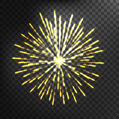 Fireworks vector icon isolated