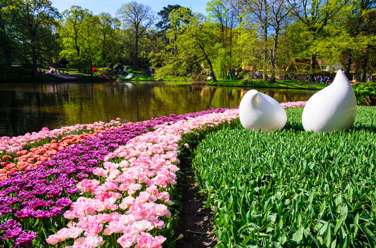 Blooming flowers in Keukenhof park in Netherlands, Europe.