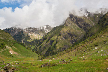 Fototapeta na wymiar Allgäuer Alpen im Bergsommer