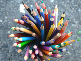 Bouquet of Colored Pencils