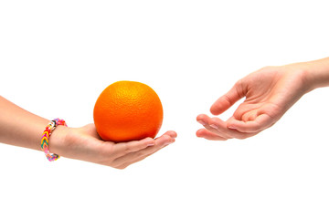 orange in hand on white background