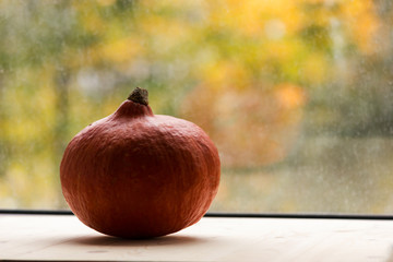 Pumpkin on autumn background