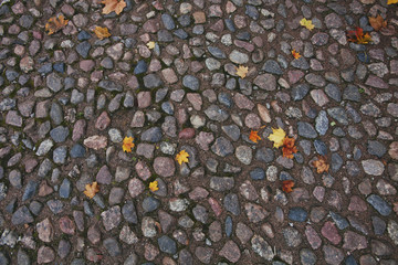 paving stone autumn texture
