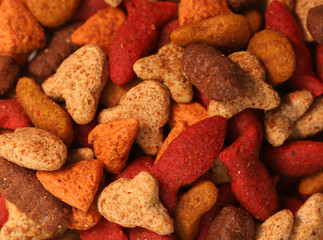 Cat food isolated on a white background