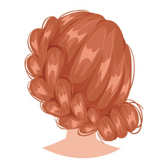 Vector woman hairstyle back view