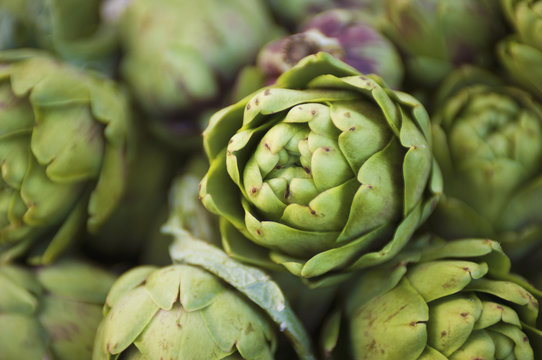 Close-Up Of An Artichoke, Berkeley, California, United States of America