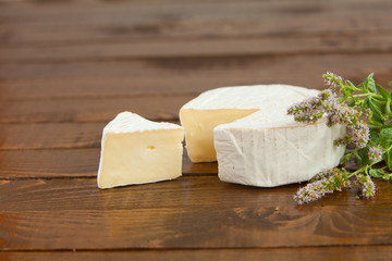 Fresh brie cheese with white mold on a white background