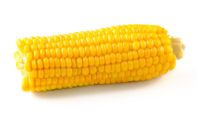 boiled corn isolated on white background. Front view.