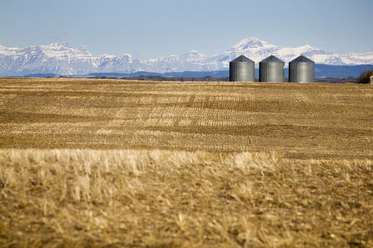 Metal grain bins in stubble field with snow covered mountains in the background and blue sky,Alberta canada