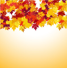Naklejka na ściany i meble Autumn background with maple leaves against white background. Vector Illustration