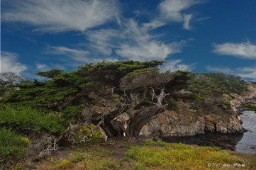 Northshoretrail, Point Lobos