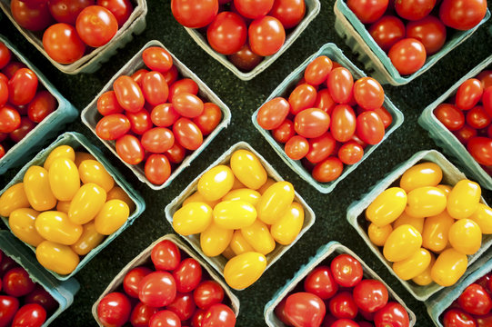Yellow and red cherry tomatoes in containers, Denton, Maryland, United States of America