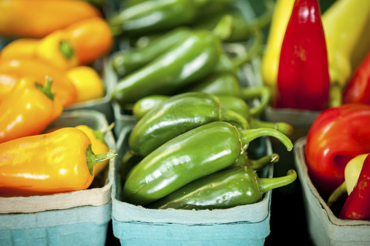 Colorful peppers stacked in containers, Denton, Maryland, United States of America