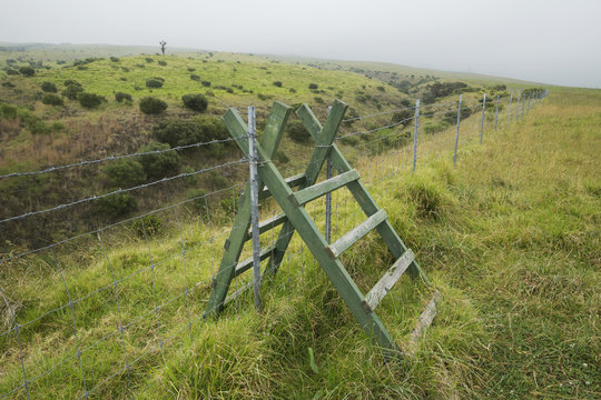 Fence stile at Kahoe Restoration Area on Kohala Range, extensive koa (Koa acacia) tree plantings protected against feral pigs by fencing, Kamuela, Island of Hawaii, Hawaii, United States of America