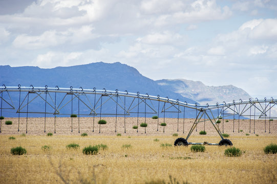 Irrigation system on a farm, Cape Town, Western Cape, South Africa