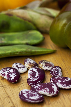 Heirloom Christmas Lima beans with white with purple splashes and swirls, Brampton, Ontario, Canada
