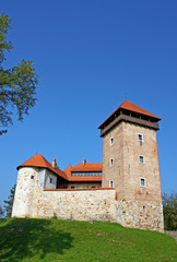 Fototapeta na wymiar Dubovac Castle, Croatia